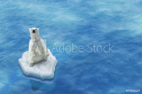 Picture of Ours Blanc  Fonte des glaces